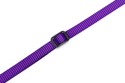 Beeztees Yavru Köpek Boyun Tasması, Çeşitli Renklerde, 22-35cm, 10mm - Thumbnail