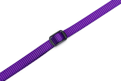 Beeztees Yavru Köpek Boyun Tasması, Çeşitli Renklerde, 22-35cm, 10mm