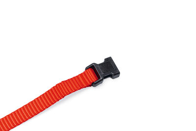 Beeztees Yavru Köpek Boyun Tasması, Çeşitli Renklerde, 22-35cm, 10mm