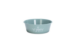 Beeztees - Beeztees Yavru Köpek Mama Su Kabı, Paslanmaz Çelik, Kaymaz Taban, Turkuaz, 13cm, 470ml