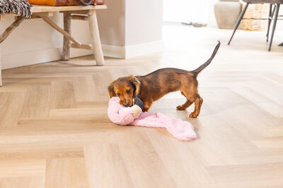 Beeztees Yavru Köpek Oyuncağı, Flamingo, Peluş, Pembe, 72x27x5cm - 4