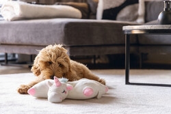 Beeztees Yavru Köpek Oyuncağı, Unicorn, Isıtıcılı, Peluş, Beyaz, 34x33x12cm - Thumbnail