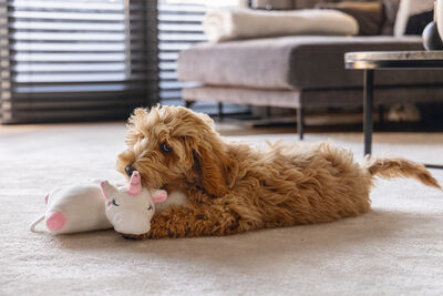 Beeztees Yavru Köpek Oyuncağı, Unicorn, Isıtıcılı, Peluş, Beyaz, 34x33x12cm