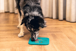 Beeztees Yavru Köpek Yaş Mama Yeme Oyuncağı, Kare Şeklinde, Silikon, Yeşil, 20x20cm - Thumbnail