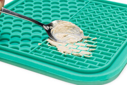 Beeztees Yavru Köpek Yaş Mama Yeme Oyuncağı, Kare Şeklinde, Silikon, Yeşil, 20x20cm - Thumbnail