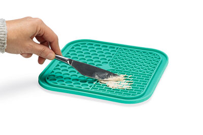 Beeztees Yavru Köpek Yaş Mama Yeme Oyuncağı, Kare Şeklinde, Silikon, Yeşil, 20x20cm