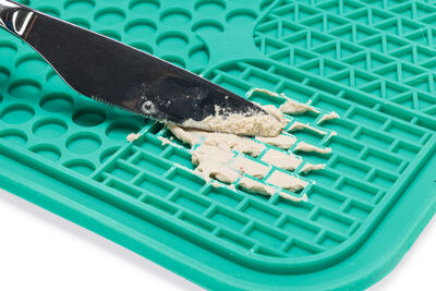 Beeztees Yavru Köpek Yaş Mama Yeme Oyuncağı, Kare Şeklinde, Silikon, Yeşil, 20x20cm - 9