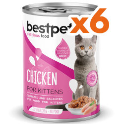 Bestpet Gravy Kitten Parça Tavuk Etli Yavru Kedi Konservesi 400 Gr x 6 Adet - 2