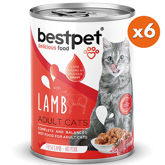 Bestpet Gravy Lamb Parça Kuzu Etli Kedi Konservesi 400 Gr x 6 Adet - 2
