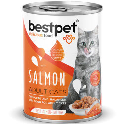 Bestpet Gravy Parça Somonlu Kedi Konservesi 400 Gr x 6 Adet - 3