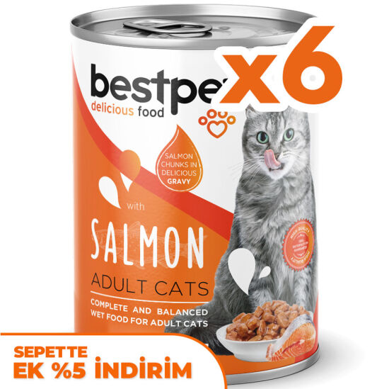 Bestpet Gravy Parça Somonlu Kedi Konservesi 400 Gr x 6 Adet - 1