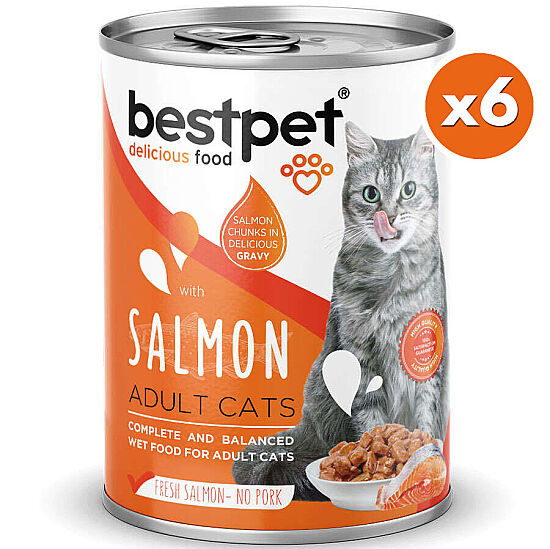 Bestpet Gravy Parça Somonlu Kedi Konservesi 400 Gr x 6 Adet - 2