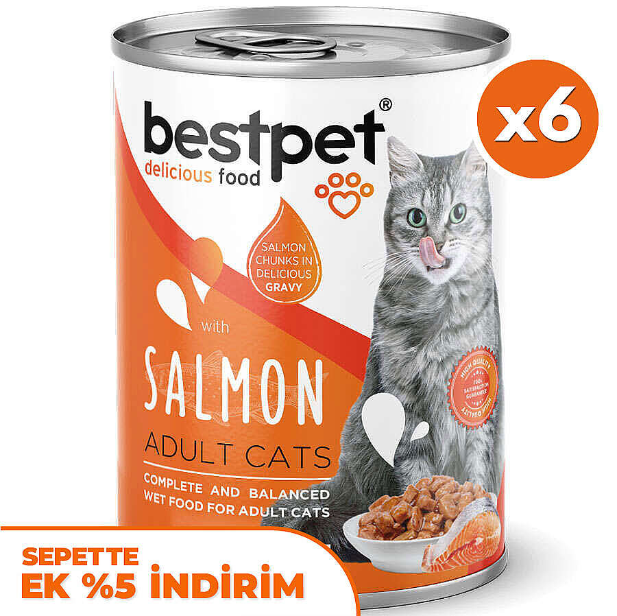 Bestpet Gravy Parça Somonlu Kedi Konservesi 400 Gr x 6 Adet