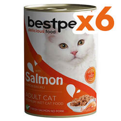 Bestpet - Bestpet Gravy Parça Somonlu Kedi Konservesi 400 Gr x 6 Adet