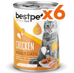 Bestpet Gravy Parça Tavuk Etli Kedi Konservesi 400 Gr x 6 Adet - 2