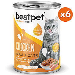 Bestpet Gravy Parça Tavuk Etli Kedi Konservesi 400 Gr x 6 Adet - 2