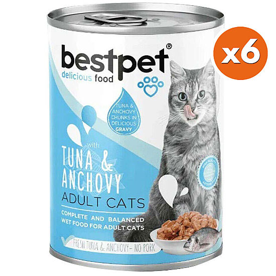 Bestpet Gravy Tuna Anchovy Parça Ton ve Hamsili Kedi Konservesi 400 Gr x 6 Adet - 2
