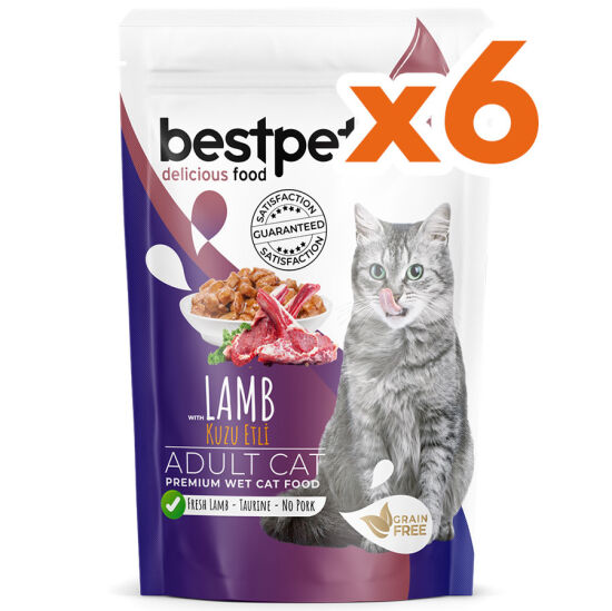 Bestpet Pouch Jelly Kuzu Etli Kedi Yaş Maması 85 Gr x 6 Adet - 2