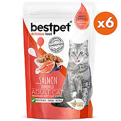 Bestpet Pouch Jelly Somon Balıklı Kedi Yaş Maması 85 Gr x 6 Adet - 2