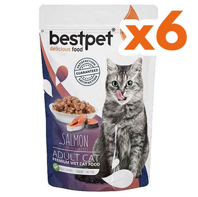 Bestpet Pouch Jelly Somon Balıklı Kedi Yaş Maması 85 Gr x 6 Adet