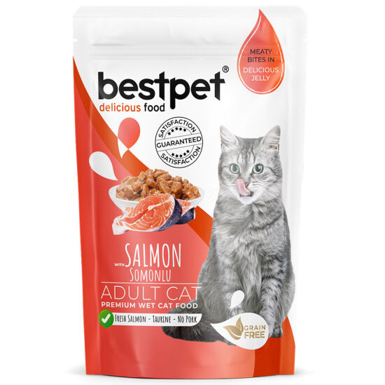 Bestpet Pouch Jelly Somon Balıklı Kedi Yaş Maması 85 Gr - 2