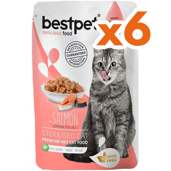 Bestpet Pouch Jelly Sterilised Somon Balıklı Kısırlaştırılmış Kedi Yaş Maması 85 Gr x 6 Adet - 2