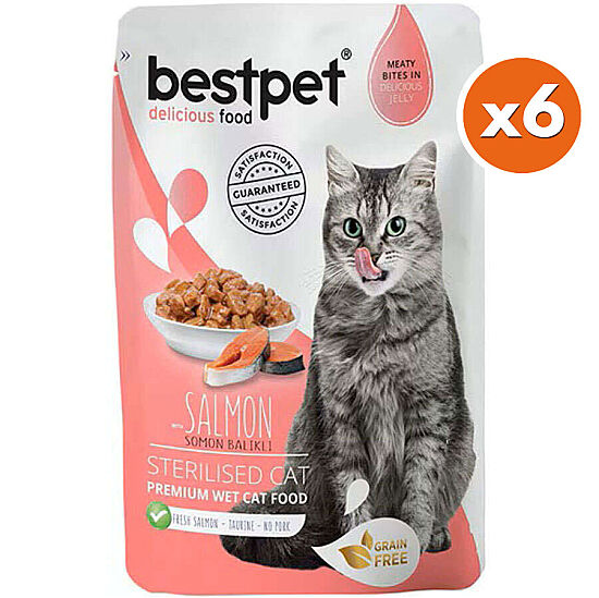 Bestpet Pouch Jelly Sterilised Somon Balıklı Kısırlaştırılmış Kedi Yaş Maması 85 Gr x 6 Adet - 2