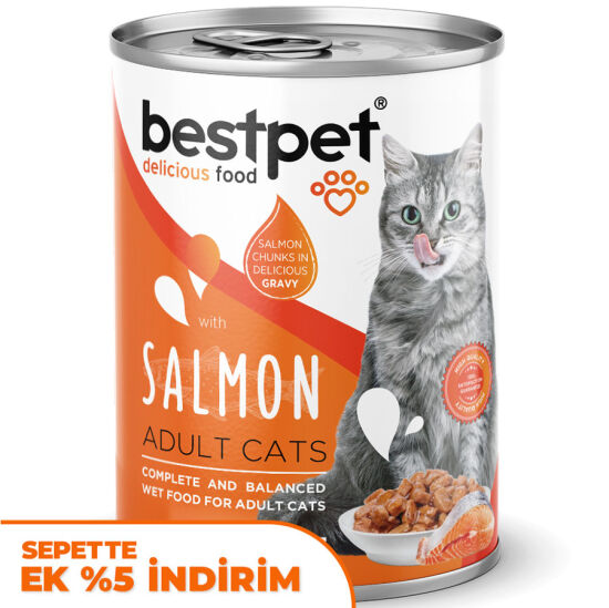 Bestpet Gravy Parça Somonlu Kedi Konservesi 400 Gr - 1