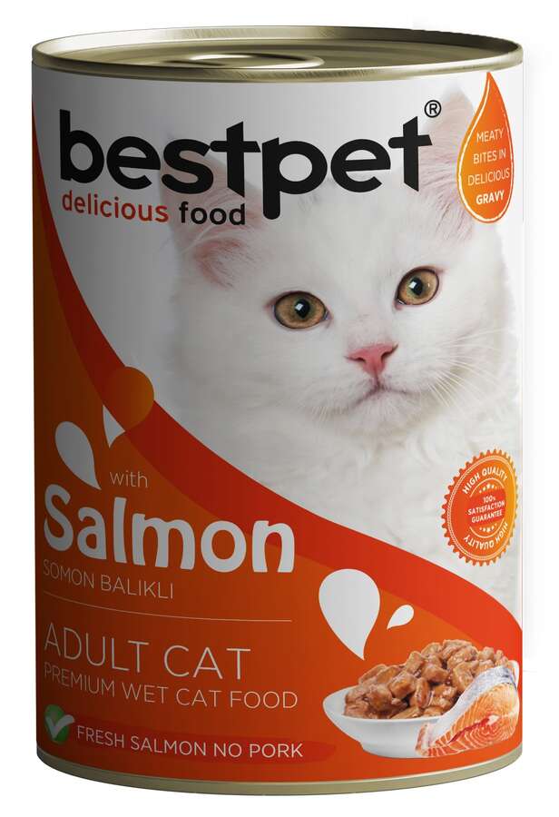 Bestpet Somonlu Parca Etli Ve Joleli Kedi Konservesi 400 Gr Kedi Yas Mamalari Bestpet