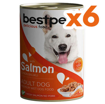 Bestpet Somonlu Parça Etli ve Soslu Köpek Konservesi 400 Gr x 6 Adet