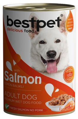 Bestpet Somonlu Parça Etli ve Soslu Köpek Konservesi 400 Gr