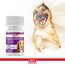 Bio Pet Active Bio Derm Biotin and Zinc Tablets For Dogs 37,5 Gr. - 75 Tablets - 2