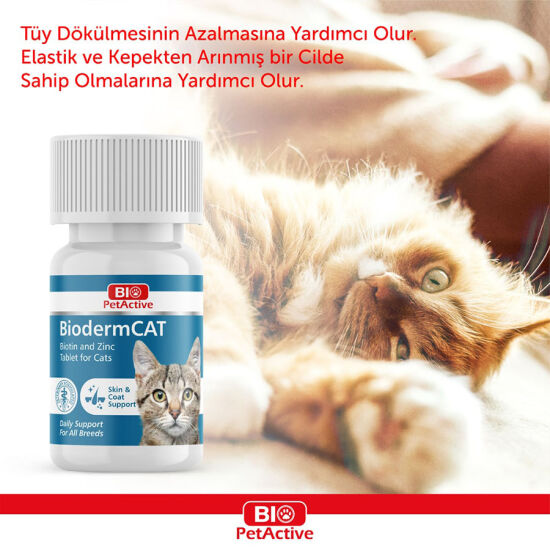 Bio Pet Active BioDerm Biotin ve Çinko Kedi Tableti 30 Gr ( 100 Tablet ) - 2