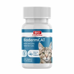 Bio Pet Active - Bio Pet Active BioDerm Biotin ve Çinko Kedi Tableti 30 Gr ( 100 Tablet )