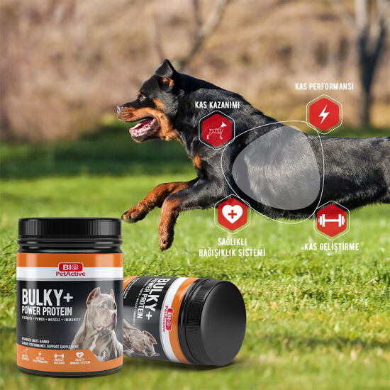 Bio Pet Active Bulky Power - Köpekler için Kas Geliştirici Besin 368 Gr - 3
