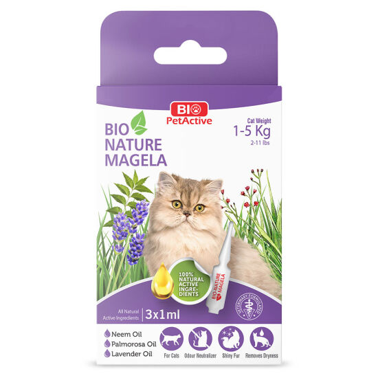Bio Pet Active Cat 1 - 5 Kg Deri ve Tüy Sağlığı Kedi Çözelti 3 x 1 ML - 1