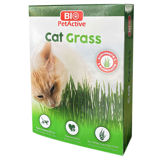 Bio Pet Active Cat Grass Kedi Çimi - 1