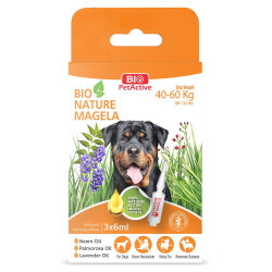 Bio Pet Active Dog 40 - 60 Kg Deri ve Tüy Sağlığı Köpek Çözelti 3 x 6 ML - Bio Pet Active
