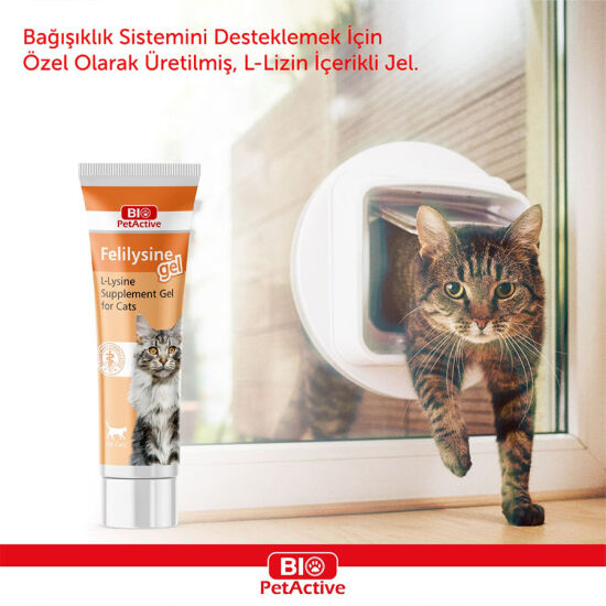Bio Pet Active Felilysine Gel Sağlıklı Gelişim Destekleyen Lizin Kedi Macunu 100 ML - 2