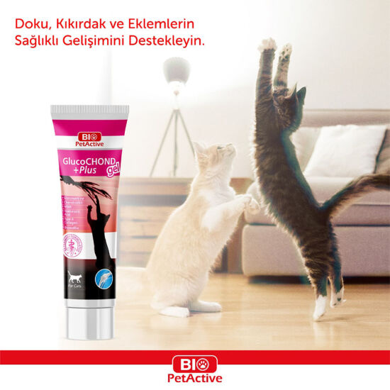 Bio Pet Active GlucoCHOND Eklem Sağlığı Destekleyici Kedi Macunu 100 ML - 2