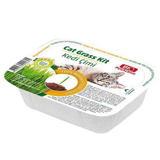 Bio Pet Active Grass Kit Naturel Kedi Çimi - 1