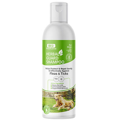 Bio Pet Active Herbal Guard Smp for Dogs Anti̇septi̇k Şampuan 250 ML - 1