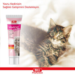 Bio Pet Active Vitalicat Junior Kitten Vitamin Paste 100 Ml. - 2