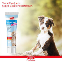  Bio Pet Active Vitalidog Junior Puppy Vitamin Paste For Dogs 100 Ml. - Bio Pet Active (1)