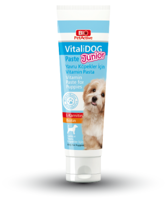 Bio Pet Active Vitalidog Junior Yavru Köpek Vitamin Macunu 100 ML