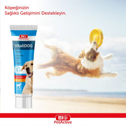 Bio Pet Active Vitalidog Yetişkin Köpek Vitamin Macunu 100 ML - Bio Pet Active (1)