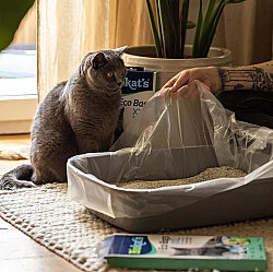 Biokats Eco Bags Kedi Kumu Doğa Dostu Hijyen Torbası XXL (12 li Paket) - 3