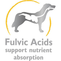 Brit Snack Endurance Kuzu Etli Muzlu Dayanıklılık Arttırıcı Tahılsız Köpek Ödülü 150 Gr - Thumbnail