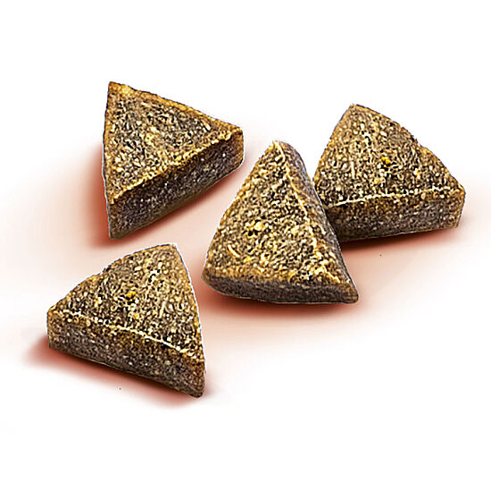 Brit Snack Antiparasitic Somon Papatya Parazit Karşıtı Tahılsız Köpek Ödülü 150 Gr - 2