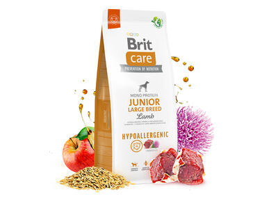 Brit Care Junior Large Kuzulu Yavru Büyük Irk Köpek Maması 12 Kg + 2 Adet Pedigree 400 Gr Konserve